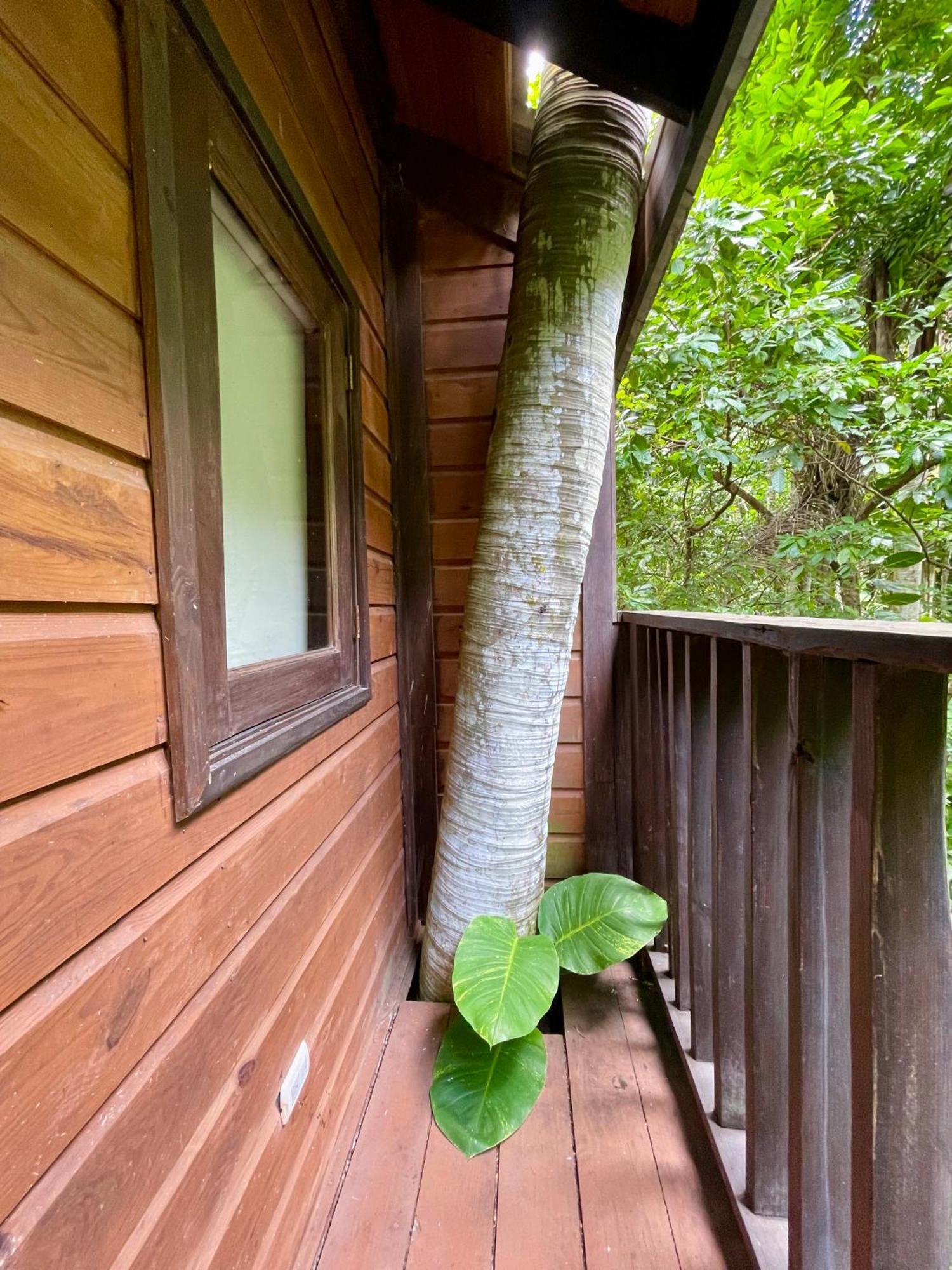 Platon Ecolodge Barahona Extérieur photo