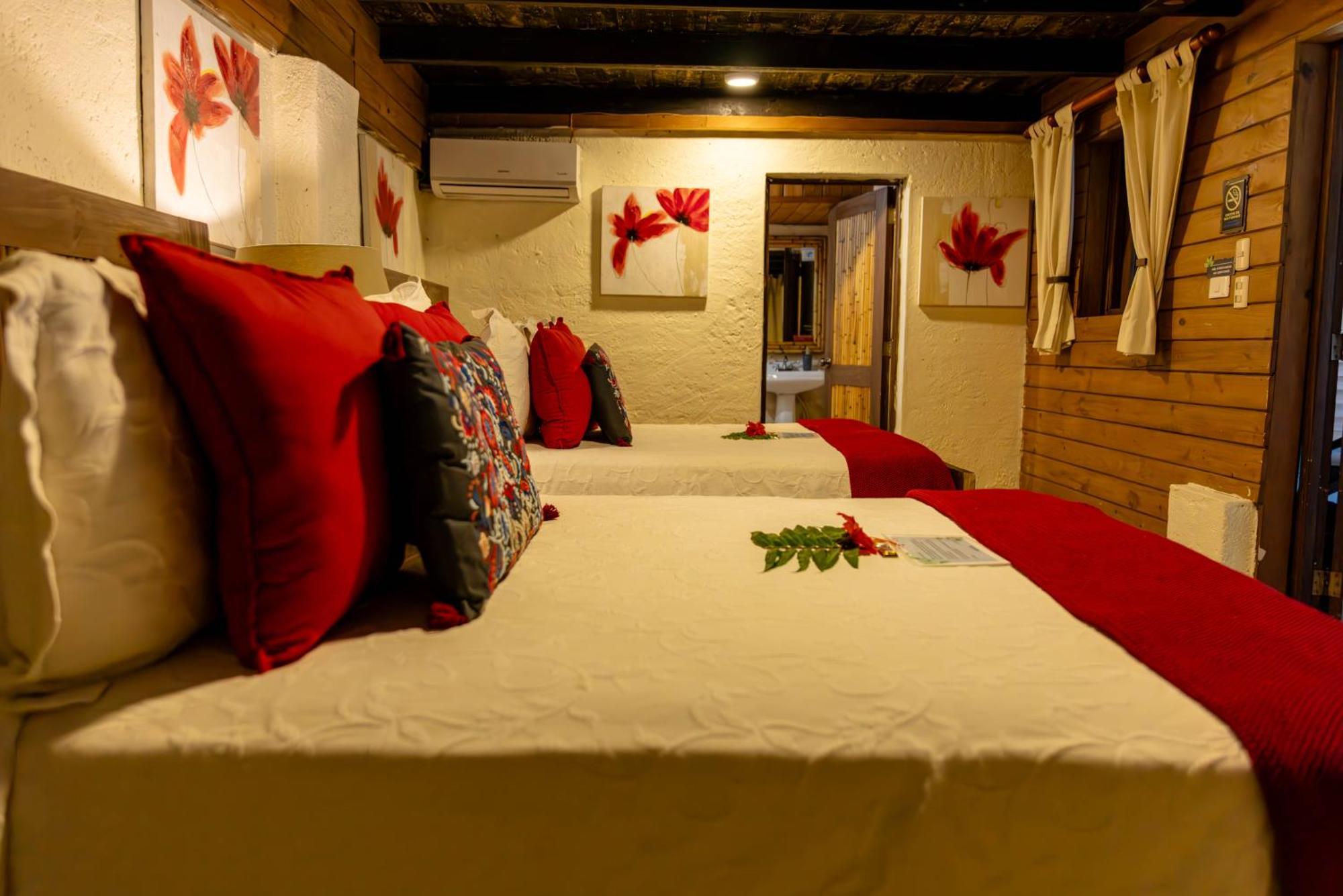 Platon Ecolodge Barahona Extérieur photo